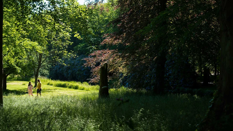 forest summer landscape with handsome couple taking a walk in the distance